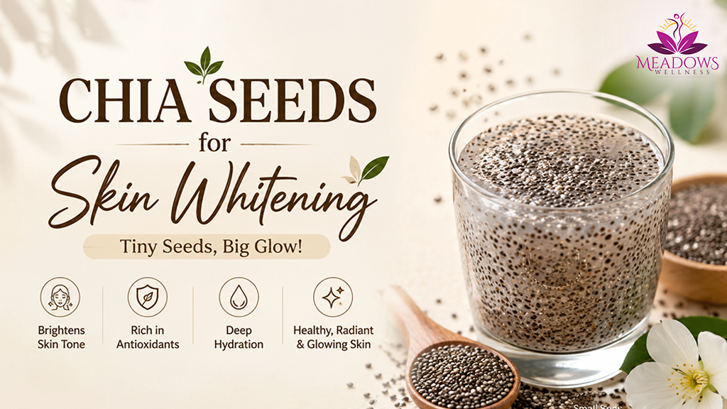 How to Use Chia Seeds for Skin Whitening | Meadows Wellness